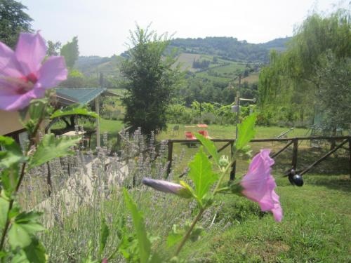 Le Spighe Agriturismo Fattoria Bertaccini