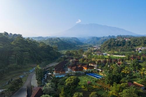 Jsi Resort