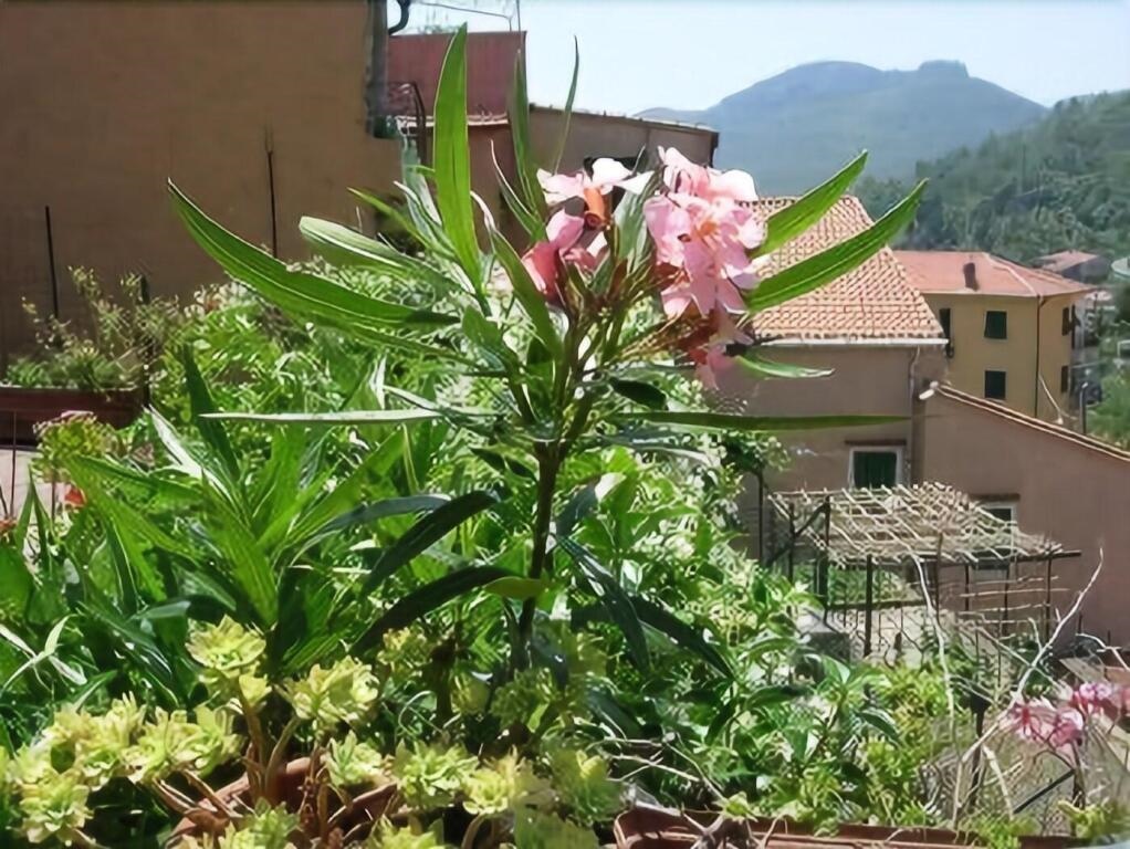 Locanda Ristorante Borgo Antico