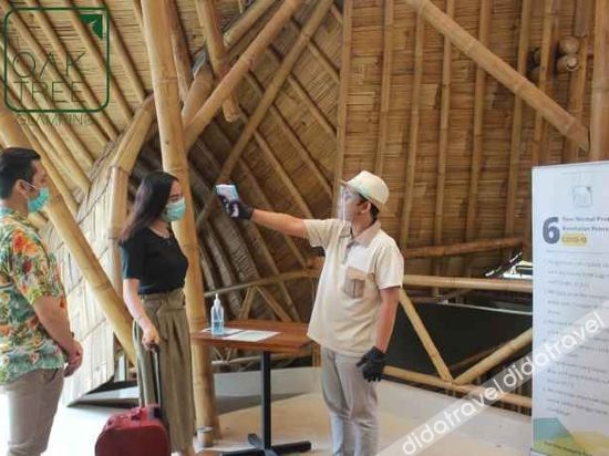 Oak Tree Glamping Resort