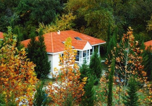 Atlant Holiday Village