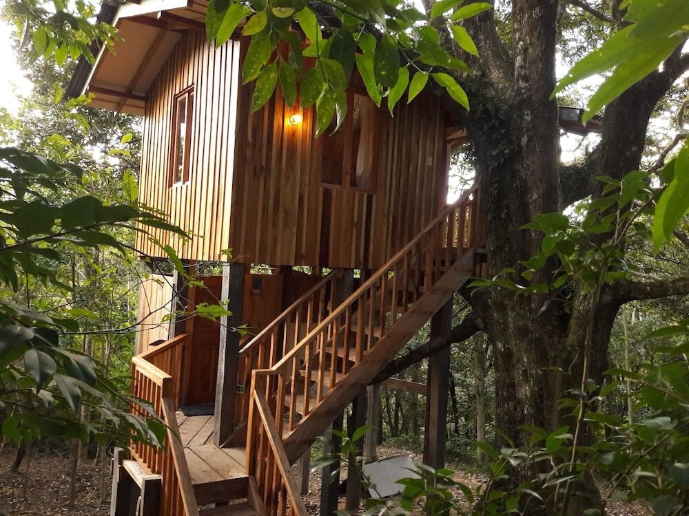 Mount Totumas Cloud Forest