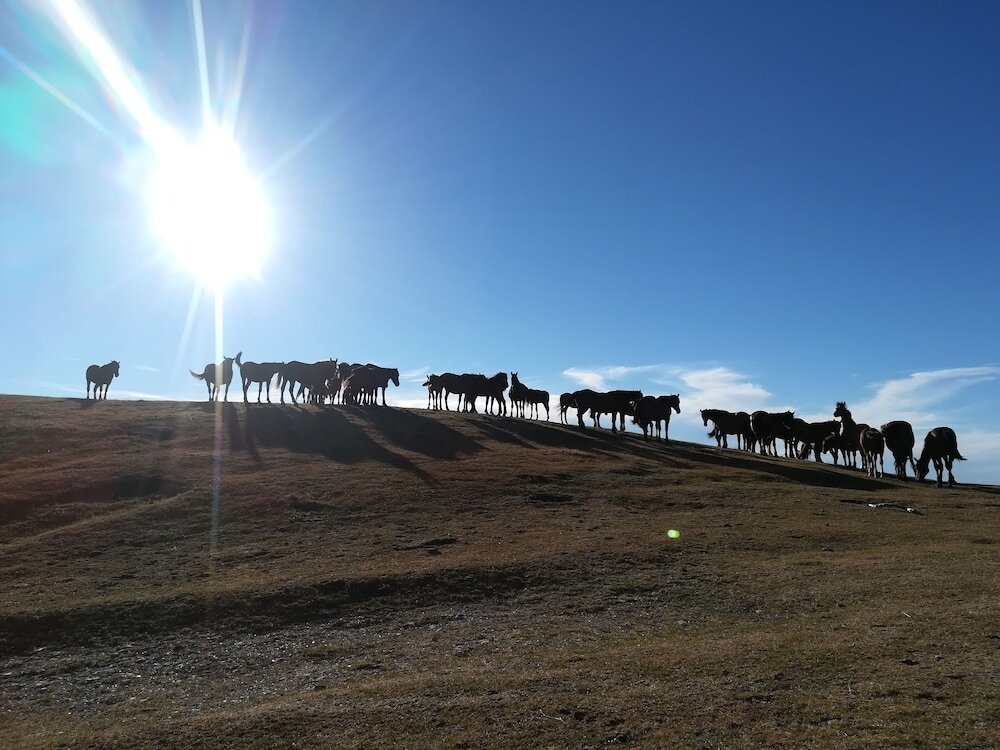 Hillside Villa With Swimming Pool And Jacuzzi - Frasassi Caves