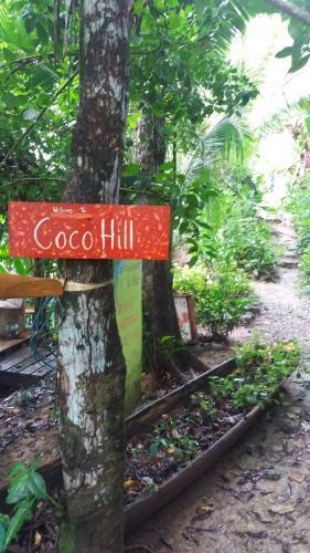 Coco Hill