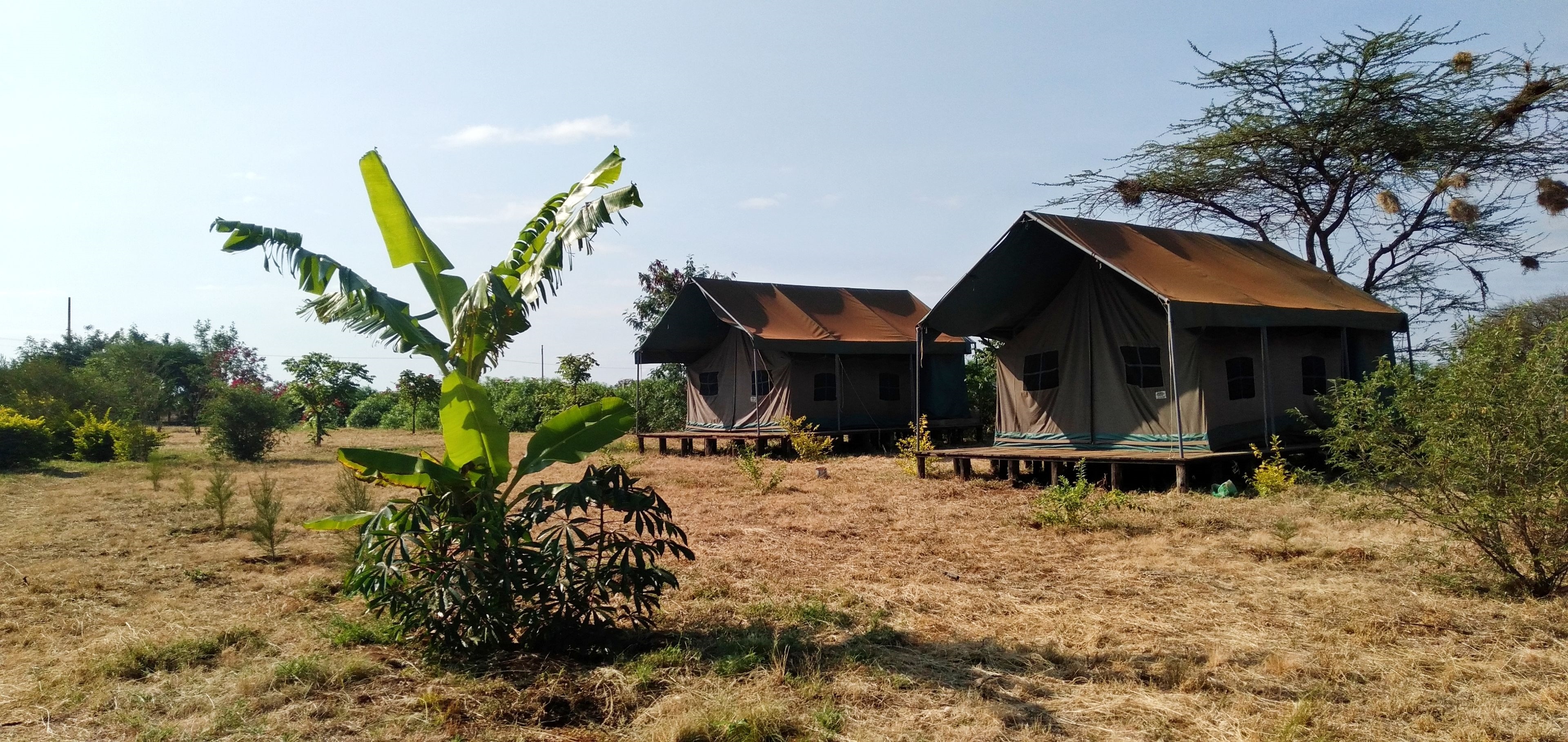 Ambokili Lodge