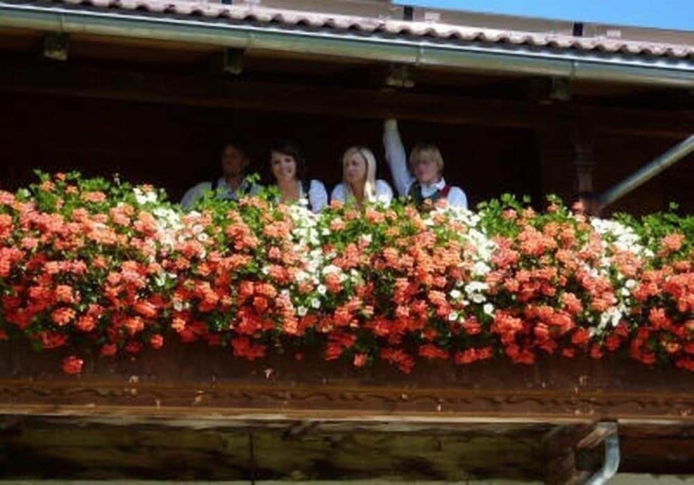 Erbhof Stoffenhof Margreiter