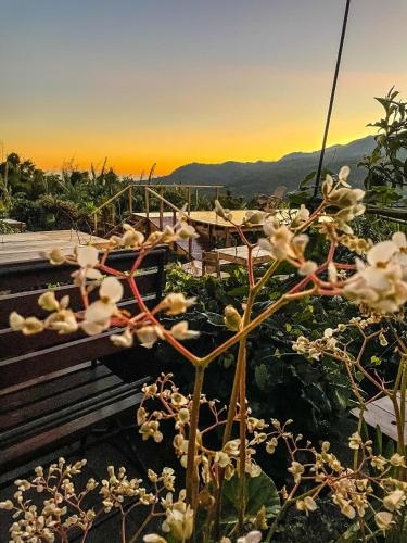 Casa 1800 Ataco Boutique Hotel