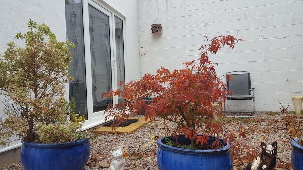 Immaculate 1-Bed Lodge Newton Abbot Torquay