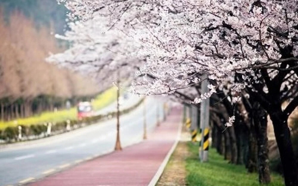 Cheongju Crapas Pension