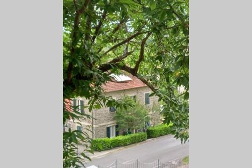 The House Of The Marquis Malaspina