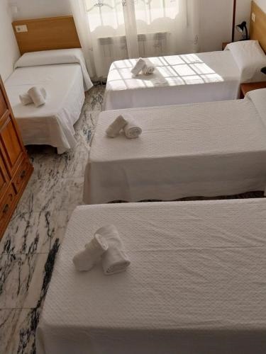 Pensión Glorioso Ii