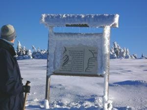 Kurpark Flair Hotel Im Ilsetal