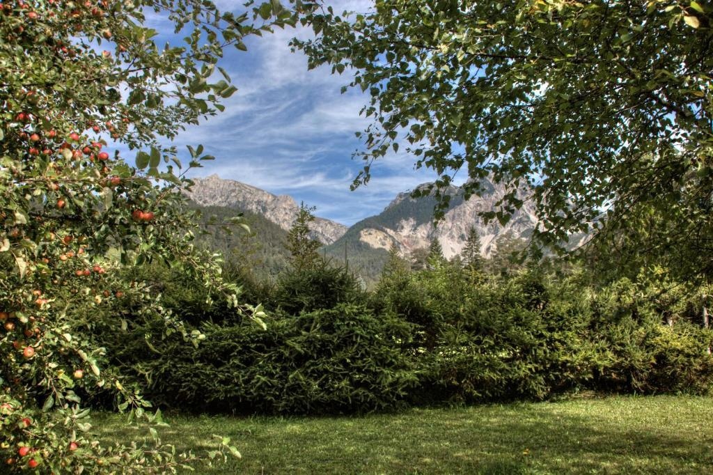 Alexander Mountain-Lodge