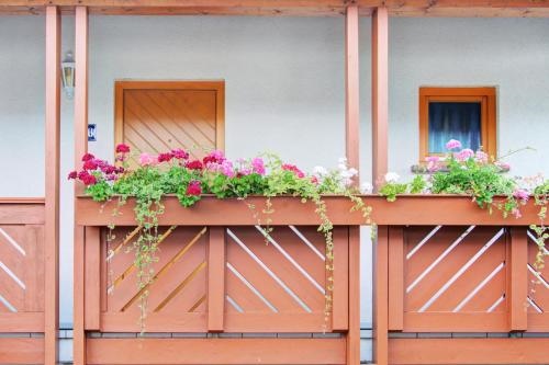 Apartment Landhotel Zum Storchennest