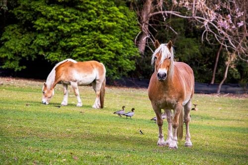 Valla Beach Top Spot