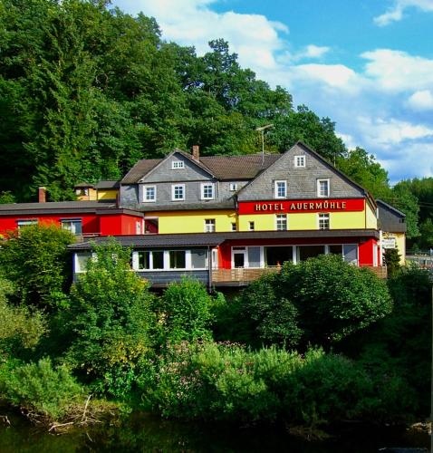 Hotel Auermuhle