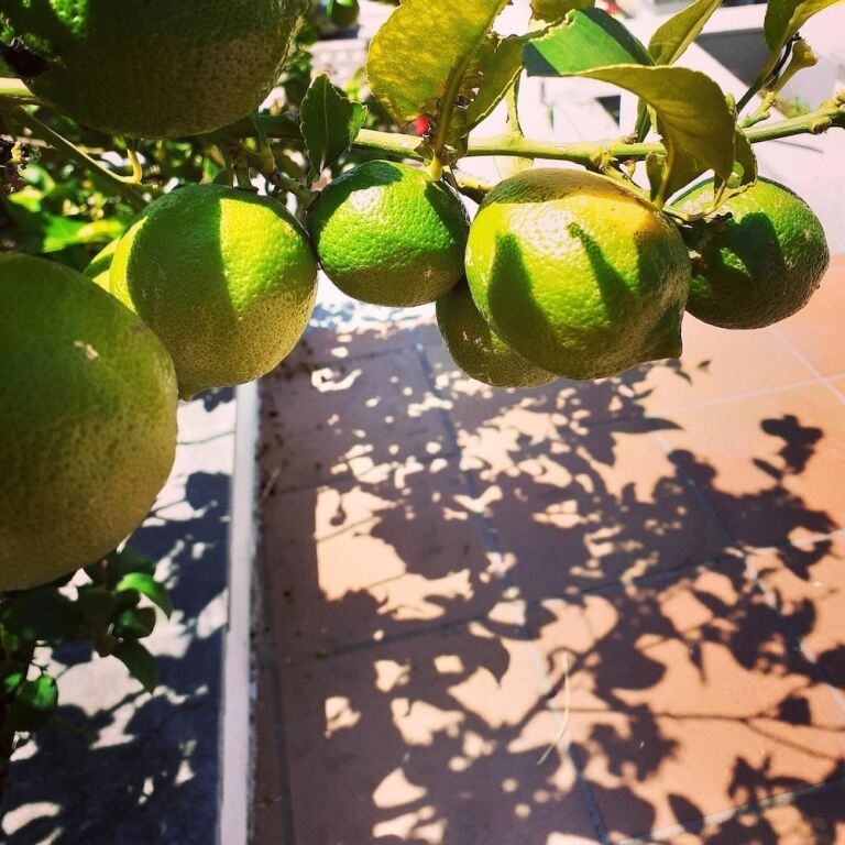 House With 4 Bedrooms in Can Parellada, With Wonderful Mountain View, Private Pool, Furnished Terrace Near the Beach