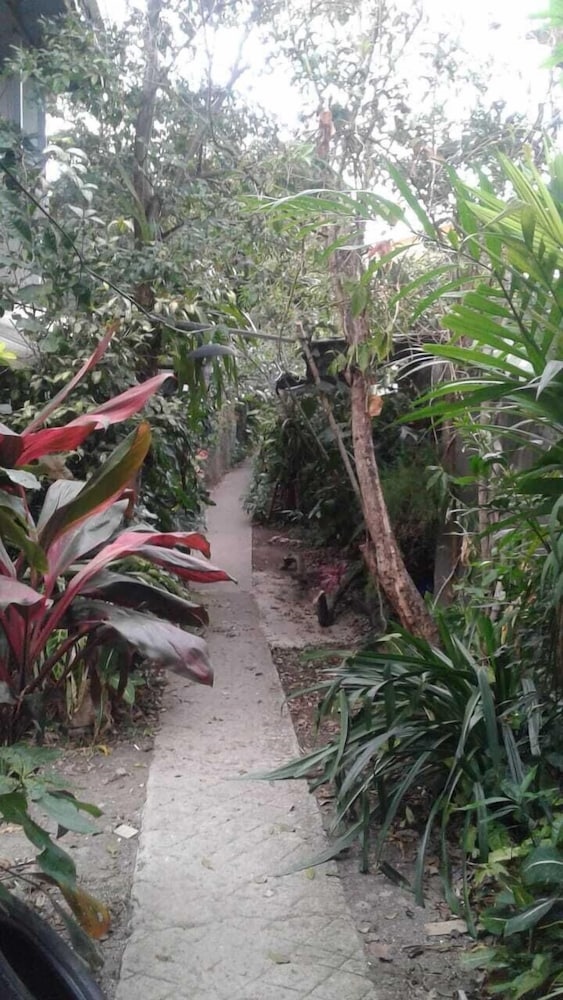 Hospedaje Alvarez Hosts