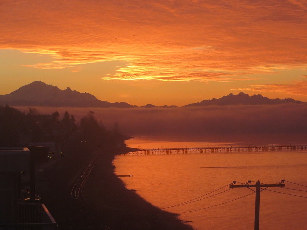 Ocean Rose Bed And Breakfast