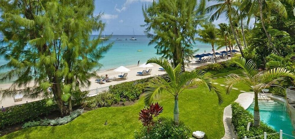 Condo Old Trees 6 - Firefly