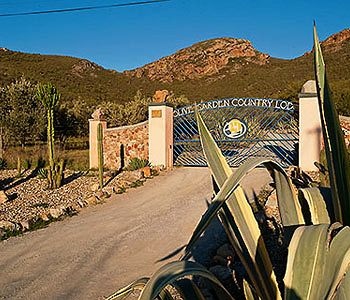 Olive Garden Country Lodge