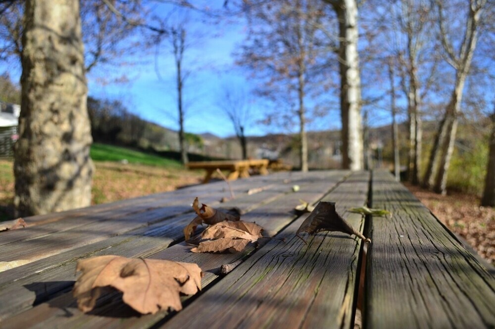 Ostello Colli Euganei