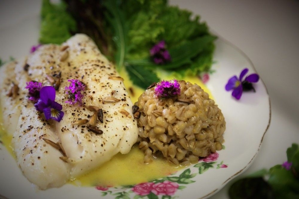 Lónkot Rural Resort