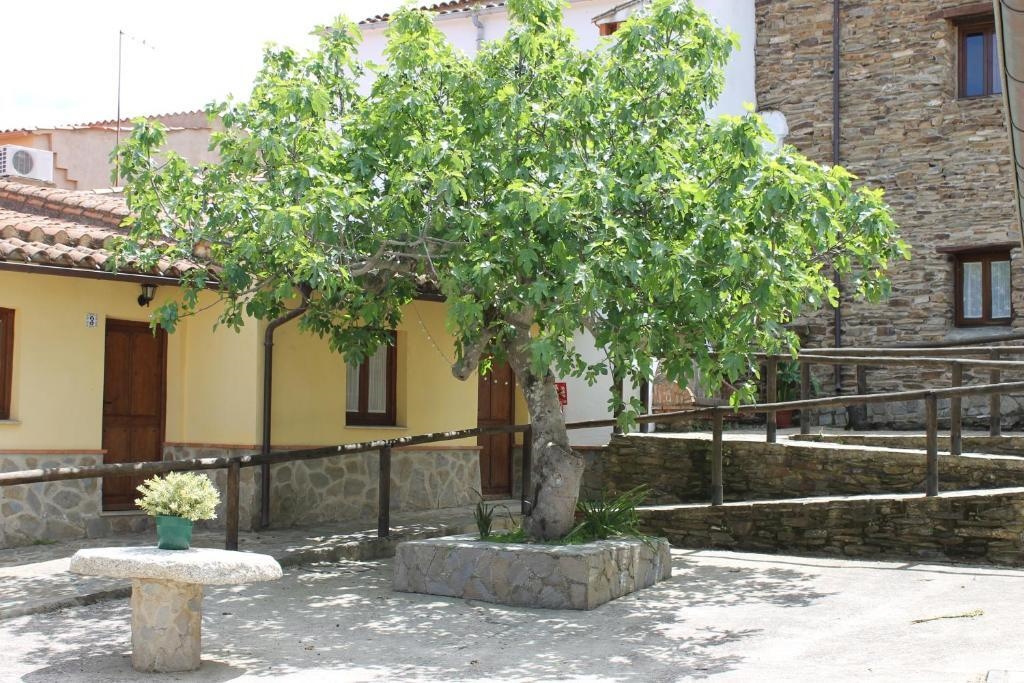 Albergue Turistico La Higuera