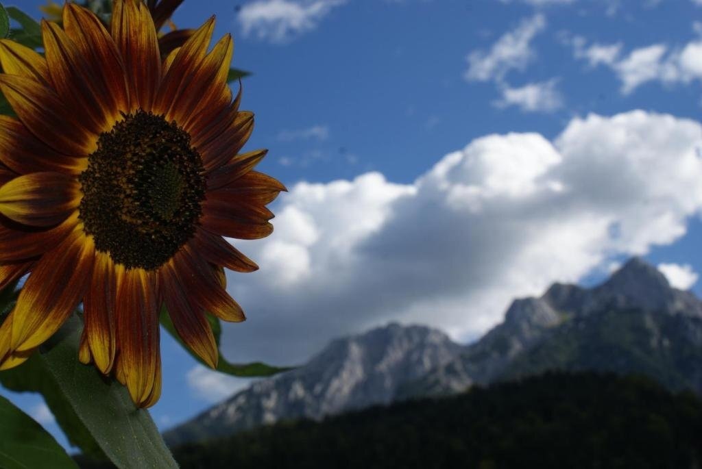 Landgasthof Ledererwirt