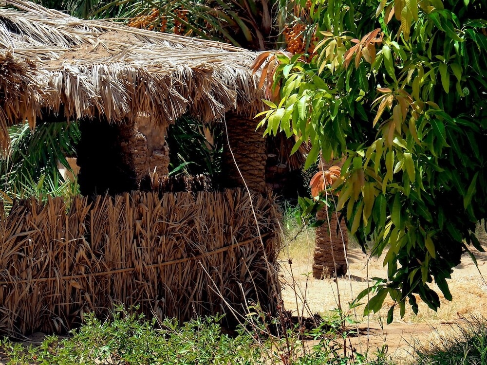 Le Jardin Sous La Lune