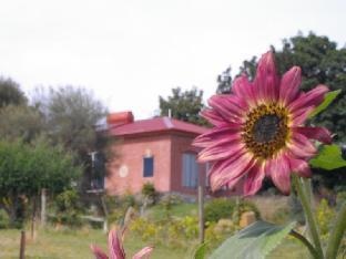 Cherry Top Accommodation