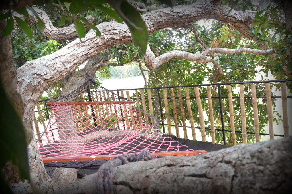 Leopard Lakes, Wilpattu