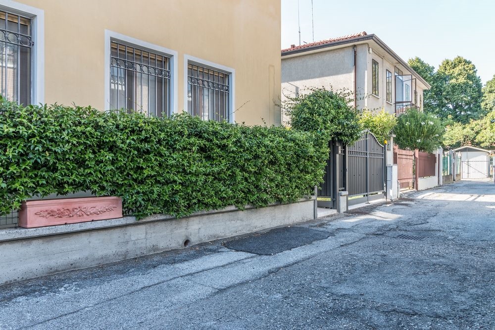 Like Venice Out of The Crowd