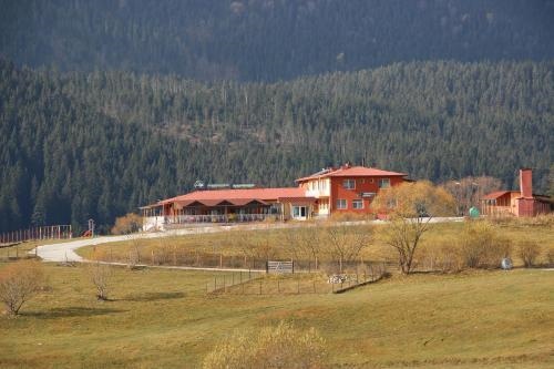 Motel Sarnitsa