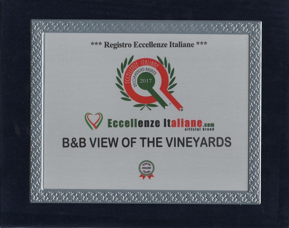 View Of The Vineyards